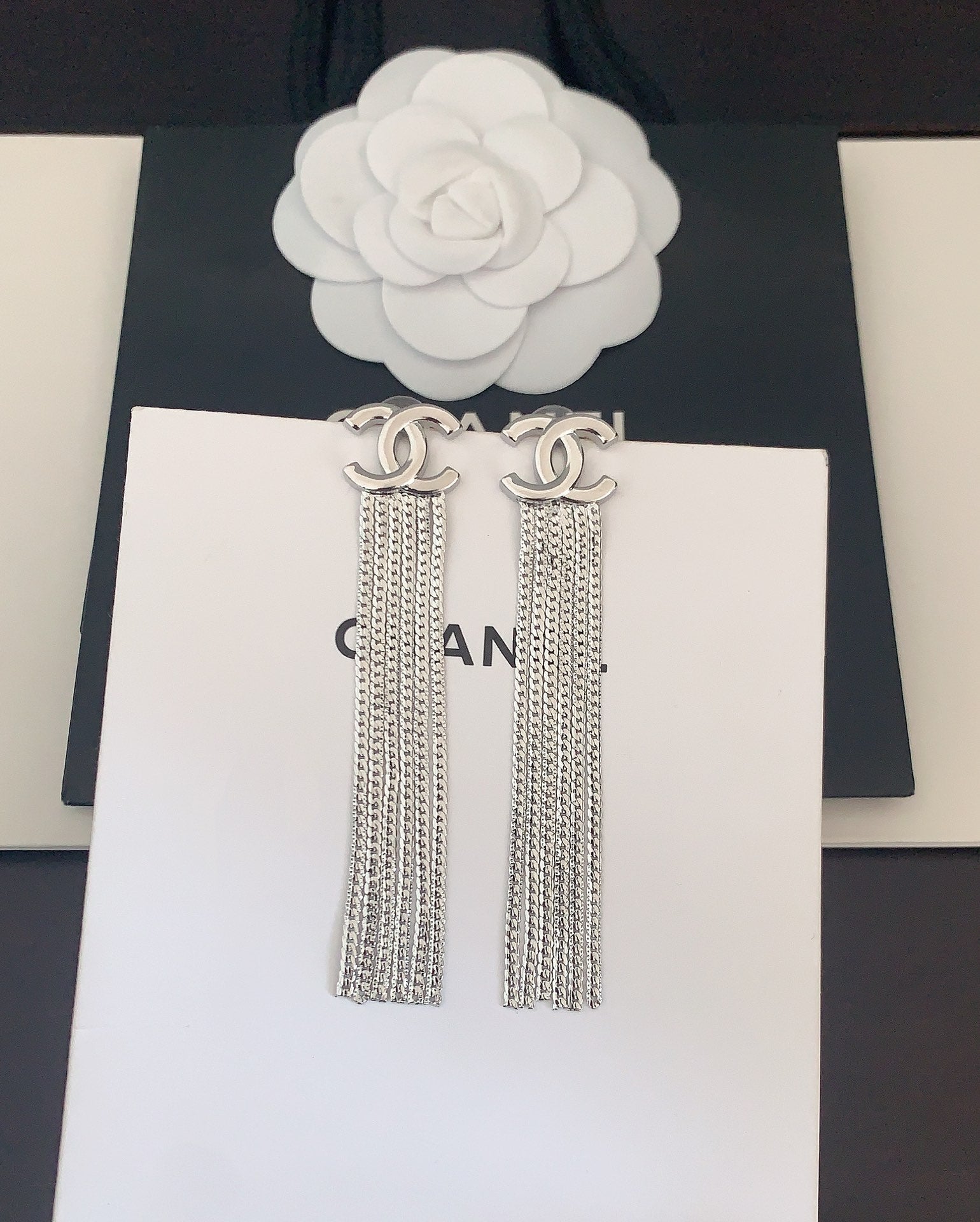 Silver Long Chain Tassel Earrings